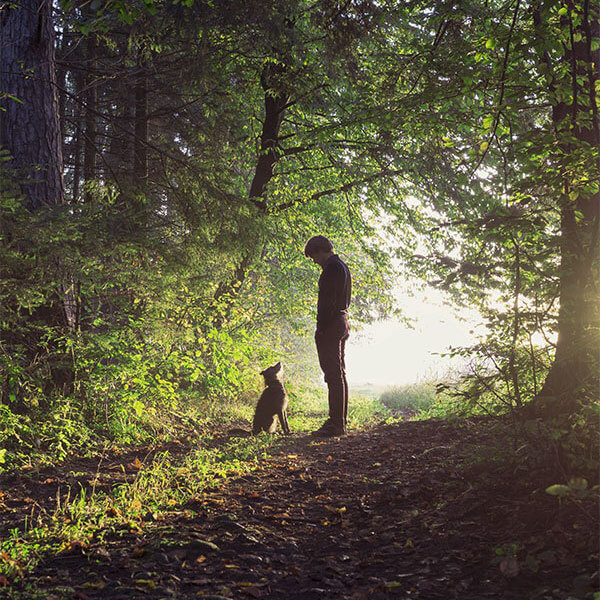 Man and dog look at each other while on a walk in nature.